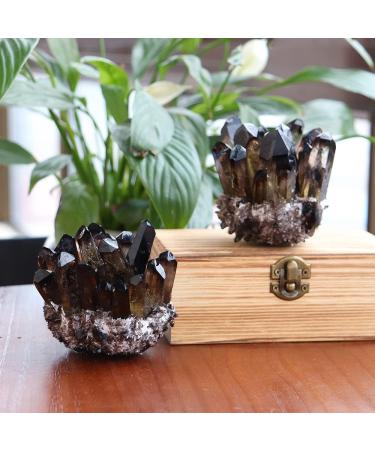Natural Smokey Quartz Tea Crystal Cluster Stones Crystal Point Specimen Home Decoration Raw Crystals ningxiao (Color : Smokey Quartz Size : 400-500g) 400-500g Smokey Quartz - Buy Online on GoSupps.com