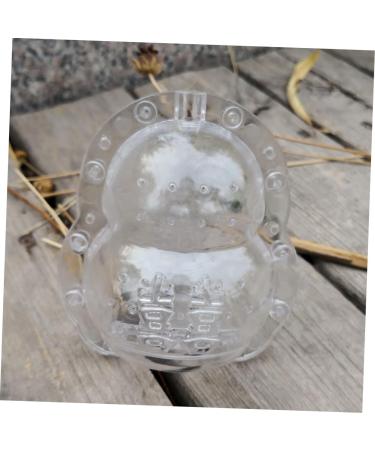 Happyyami 5pcs Fruits Shaping Tool Fruit Growing Mould Clear Fruits Small Growing Melon Stereotypes 12x10cmx5pcs As Shownx5pcs - Buy Online on GoSupps.com