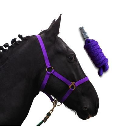 Horse delini halter foal halter with a knitting halter for wooden horse - foal halter twice adjustable to chin straps & neck pieces (foal purple) foal purple