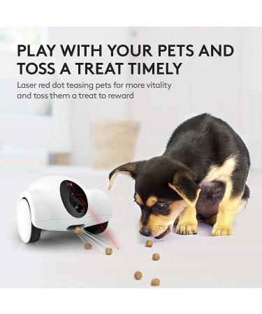 GULIGULI Smart Pet Camera: 1080P Full HD WiFi, Night Vision, 2-Way Audio, No Monthly Fee | Dog Treat Camera & Movable Companion Robot for Pets | Phone App Controlled (2.4G WiFi ONLY) - Buy Online on GoSupps.com