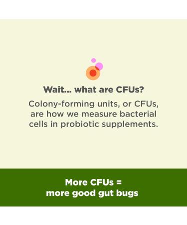 OLLY Big 10 Probiotic Supports a Healthy Gut Microbiome * 10 Billion CFUs 30 Day Supply - 30 Count 1 Count (Pack of 30) - Buy Online on GoSupps.com