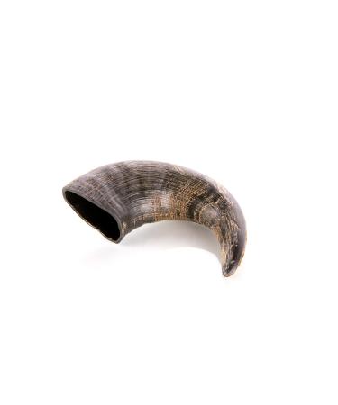 Animal House - Buffalo Horns for Dogs - Natural - Strengthens Oral Hygiene - Durable and Long Lasting - Available in All Sizes - Cruelty Free (1 M)