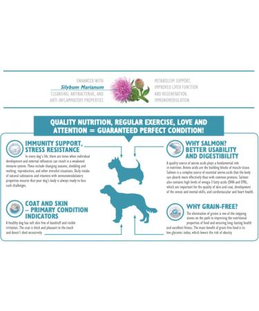 BRIT Care Grain-Free Grain-Free Salmon/Potato Dry Food for Adult Dogs 3 kg - Buy Online on GoSupps.com