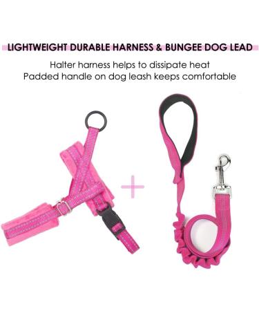 Eyein Reflective Small Dog Harness & Lead Set - Heavy Duty, Anti-Twist, Adjustable Vest Harness for Small Dogs and Cats - Easy Walk, Soft Padded, Quick Fit - Small Pink - Buy Online on GoSupps.com