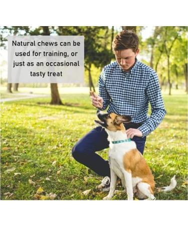 Premium Small Puffed Jerky Cubes 1kg - Natural Dried Lung Dog Treats for Training - LOS - Buy Online on GoSupps.com
