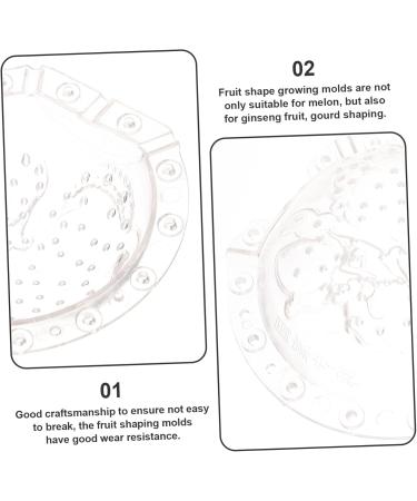 Kisangel 4 Pcs Vegetable Shaping Mold Fruit Shaping Mold Melon Mold Cantaloupe Square Watermelon Plastic - Buy Online on GoSupps.com