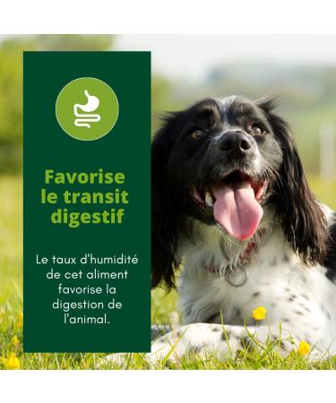 EQUILIBRE & INSTINCT - Adult Dog - Duck Wet Food Pate - Optimal Digestive Transit - Complete Recipe Formulated with Veterinarians - 9x300g - Made in France - Buy Online on GoSupps.com