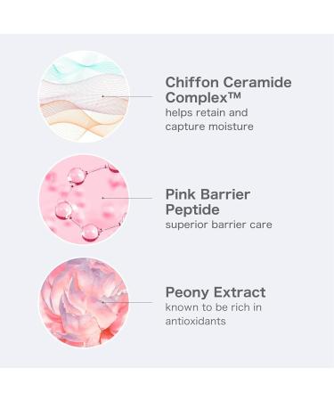 O HUI Miracle Moisture Ceramide Boosting Cream | 24-Hour Hydration | Korean Moisturizer for All Skin Types | Achieve Glass Skin with Ceramides & Shea Butter - Buy Online on GoSupps.com