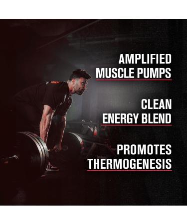 Jacked Factory NITROSURGE Shred Pre Workout Supplement (Fruit Punch 30 Servings) & Creatine Monohydrate Powder (Unflavored 30 Servings) - Buy Online on GoSupps.com