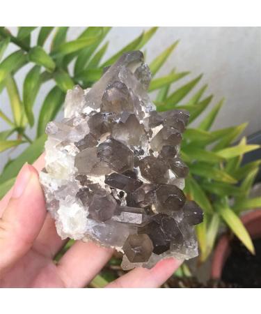 Natural Smoky Quartz Crystal Cluster Rock Stone and Crystal Beautiful Crystal Crystal Cluster - Buy Online on GoSupps.com