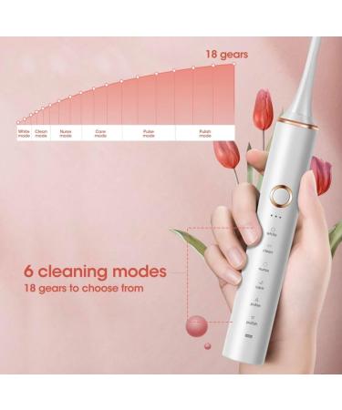 IPX7 Adult Sonic Electric Toothbrush - Soft Bristles for Whitening & Oral Cleaning (Black) - International Shipping Available - Buy Online on GoSupps.com