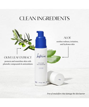 Kosterina Extra Virgin Daily Face Moisturizer | Hydrating & Soothing Natural Cream with Antioxidants Olive Oil & Squalene | 1.7 oz (50ml) - Shop Internationally - Buy Online on GoSupps.com