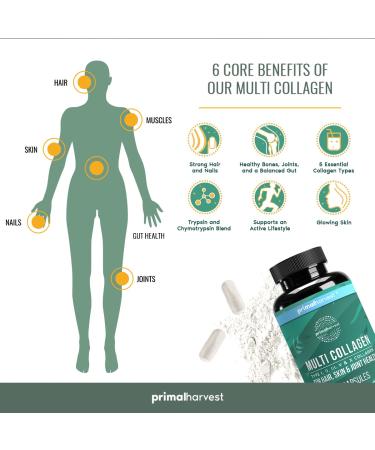 Primal Harvest Super Greens & Multi Collagen Capsules Supplements for Women and Men - Superfood Greens Powder and Multi Collagen Peptides Capsules for Hair Skin and Nails Bundle - Buy Online on GoSupps.com