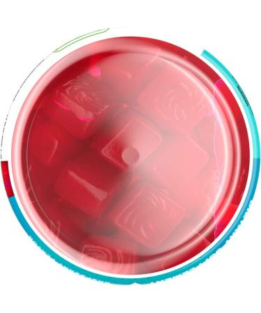 VitaFusion Gorgeous Hair Skin & Nails Multivitamin - 100 Gummies, Natural Raspberry Flavor - Buy Online on GoSupps.com