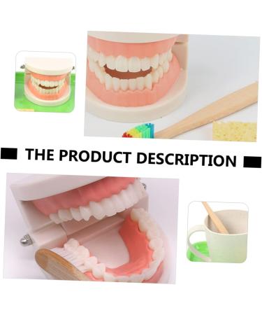 3 Sets of Early Dental Education Toys for Toddlers | Role Play Brushing Toys | Reusable Fun - Buy Online on GoSupps.com