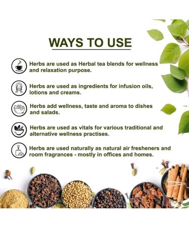 Teacurry Shikakai Pods (80g) | 100% Natural for Thick Strong & Dandruff-Free Hair | International Shipping Available - Buy Online on GoSupps.com