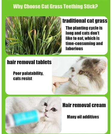 Cat Grass Teething Stick Cat Grass Teething Stick Hairballs Cat Grass Teething Sticks for Indoor Cats Cat Teeth Cleaning Cat Grass Stick for Cadental Care Increase Appetite (6pcs) - Buy Online on GoSupps.com