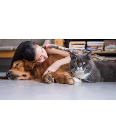 HULX Pet Odor Eliminator & Self Cleaning Pad - Nature Fresh Deodorizer for Dog & Cat Urine Smell Removal - 1 Pcs - Blue Odor Eliminator - Buy Online on GoSupps.com