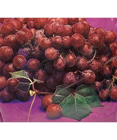 Fruit Flavoured Powdered Drink Mix Crystals Variety 4 Pack- Peach Cherry Grape & Orange (240g per Pkg.) - Buy Online on GoSupps.com