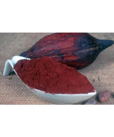 Krauterino24 Krauterino24 - Ground cocoa beans dehydrated 20-22% quantity: 1000 g