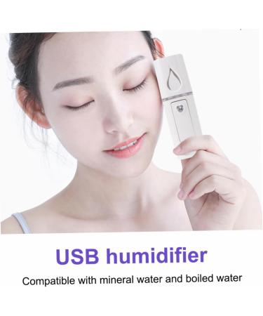 BIUDECO 1pc Nano Mist Sprayer Mini Face Humidifier Mini Dollhouse Food Resin White Face Steamer Cosmetic 10.5*3cm White - Buy Online on GoSupps.com