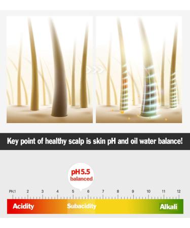 Follicution Dry Scalp Treatment | Roll-On Moisturizer & Hair Growth Serum for Men & Women | Natural Itchy Scalp Relief & Thickening Treatment - BallVic - Buy Online on GoSupps.com