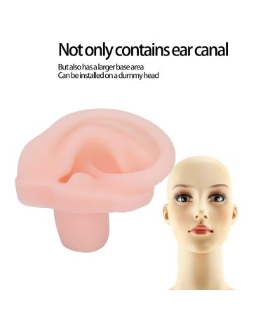 Buy Silicone Ear Model - Lightweight Flexible Display for Acupuncture Training & Earrings/Headset Props - International Shipping Available - Buy Online on GoSupps.com