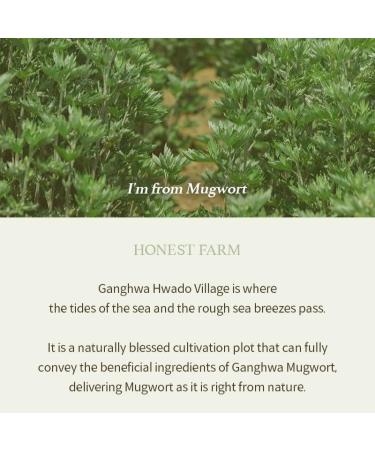 Mugwort Gel Cleanser 150ml | Soothing Low pH Herbal Face Wash for Sensitive Skin | Vegan & Hypoallergenic - Buy Online on GoSupps.com