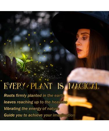 Dried Herbs Witchcraft Supplies  22 Natural Witch Herbs for Spells with Magical Uses  Wiccan Supplies and Tools  Beginner Witchcraft Kit Magic Herbs kit Witch Stuff for Pagan  Wiccan Rituals  Voodoo 22 Packs - Buy Online on GoSupps.com