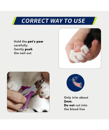 Wepet Professional Claw Scissors for Pets - Sharp & Safe Grooming Tool for Cats Dogs Kittens Hamsters & Small Animals - #07 Gray/Lime Green - Buy Online on GoSupps.com