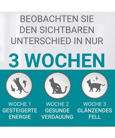 Purina One Bifensis Adult Cat Dry Food - Rich in Chicken for Strong Defenses Healthy Bones Skin Teeth & Urinary Tract - Ideal for Cats 1 Year & Older - Shop Internationally - Buy Online on GoSupps.com