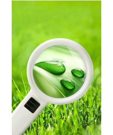 LED Lighting Magnifier Set. 30 Times Magnification The Best Choice for Reading for The Elderly Made in China - Buy Online on GoSupps.com