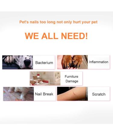 FDIT PET Nail Scissors for Dogs & Cats - Claw Clamps & Cutting Tool for Pet Grooming (Black) - Buy Online on GoSupps.com