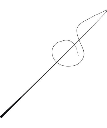 PFIFF Lunge Whip - Black 160 cm | Premium Equestrian Equipment for International Shipping - Buy Online on GoSupps.com
