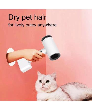 Cordless Hair Dryer Rechargeable Cordless Hair Dryer 350W Portable Travel Hair Dryer for Home/Commercial - Buy Online on GoSupps.com