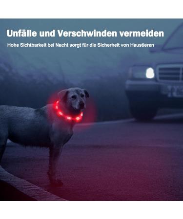 Buy Nepfaivy LED Dog Collar - USB Rechargeable Waterproof Adjustable Length 3 Lighting Modes for Safety - Red Silicone - Buy Online on GoSupps.com