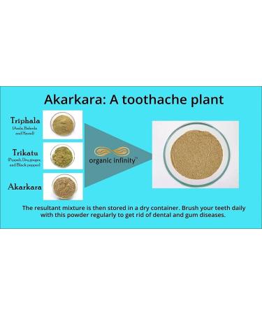 NIGHT Akarkara Root Powder | Anacyclus Pyrethrum | Pellitory Root - 200 GM | Premium Quality for Health & Wellness - Buy Online on GoSupps.com