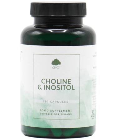 Choline (Bitartrate) & Inositol Capsules | 250mg Choline & 250mg Inositol per Capsule | 120 Vegan Capsules | G&G Vitamins
