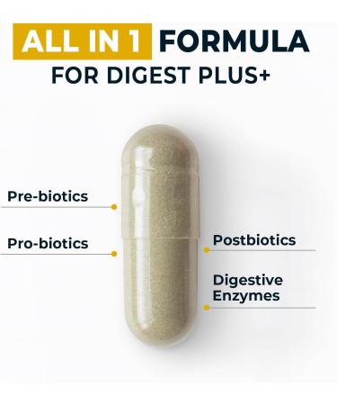 4-in-1 Prebiotic Probiotic & Postbiotic for Women & Men Complete Gut & Digestive Support Supplement Pre Post Probiotics & Digestive Enzymes 60 Capsules Made in USA - Buy Online on GoSupps.com