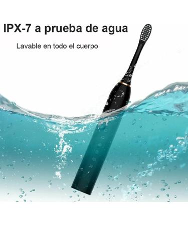 Electric Toothbrush with 4 Brush Heads - IPX7 Waterproof USB Rechargeable 6 Modes for Home & Travel - Buy Online on GoSupps.com