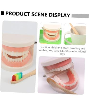 Minkissy Educational Tooth Model Set for Kids | Early Dental Hygiene Teaching Toy | Reusable ABS Prosthesis & Dentures Model - Buy Online on GoSupps.com
