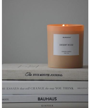 Bursera Scented Candle - Desert Rose | Eco-Friendly Soy Candle | Tree Planted with Every Order | 45hr Burn Time | Aromatherapy & Non-Toxic - Buy Online on GoSupps.com