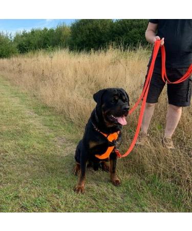 Police Style Dog Training Lead Double Ended 5ft (1.5 Metres Approx) Adjustable Leash Multi-Functional In Cushion Webbing (20mm Black) 20mm Black - Buy Online on GoSupps.com