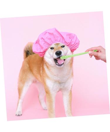 GANAZONO 3 Sets Pet Toothbrush Toothpaste for Dogs Green Dog Toothbrush Pet Mouth Cleaning Tool Tools Pp - Buy Online on GoSupps.com