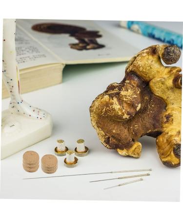 Gatuida 25pcs Pack Moxa Cake Round Mugwort Cake Healthy Accessory Round Moxibustion Cake Multi-Function Moxibustion Cake Portable Mugwort Cake Portable Moxibustion Cake Hot Pack - Buy Online on GoSupps.com