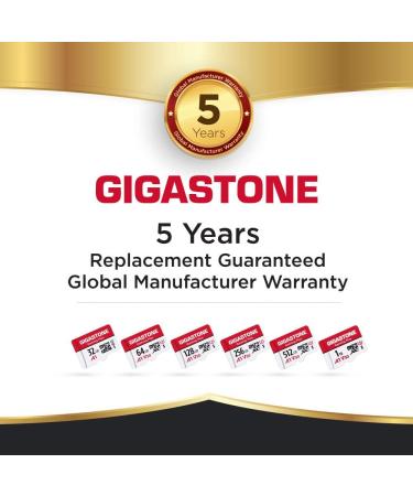 Gigastone 256GB Micro SD Card for Nintendo-Switch, GoPro, Dash Cam - 4K Video, UHS-I A1 U3 V30, up to 100MB/s - Buy Online on GoSupps.com