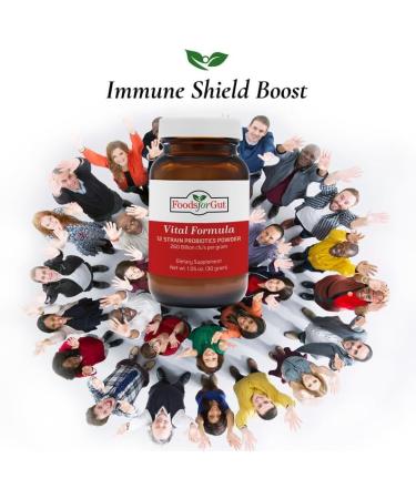 Foods For Gut Vital Formula 12 Strain Probiotics Powder 260 Billion CFU | Made in USA | Digestive & Immune Support | High Potency | 30 Grams (1.05 Oz) 1.05 Ounce (Pack of 1) - Buy Online on GoSupps.com
