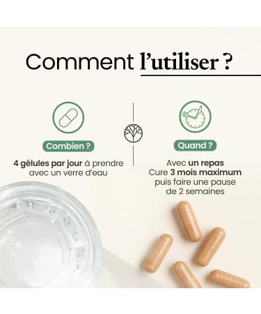 FENUGREC | Hautement Concentr : Extrait 20:1 | Titr 50% en Saponine | 120 G lules | 2000 mg par Dose | R gulation de la Glyc mie Digestion et App tit | Made in France | Terravita - Buy Online on GoSupps.com