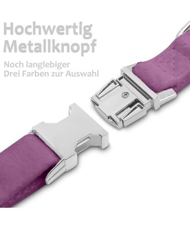 Asvin Velvety Dog Collar with Removable Fly | Soft & Comfortable Multi-Color Dog Collar for Weddings Birthdays & Parties - Shop Now! - Buy Online on GoSupps.com