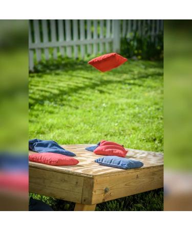 JBM Cornhole Bags - Duck Canvas Bean Bags for Tossing Games (Pack of 4, 10 Colors) - Orange, 14 oz - Buy Online on GoSupps.com